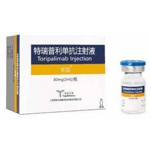 特瑞普利单抗 Toripalimab 拓益