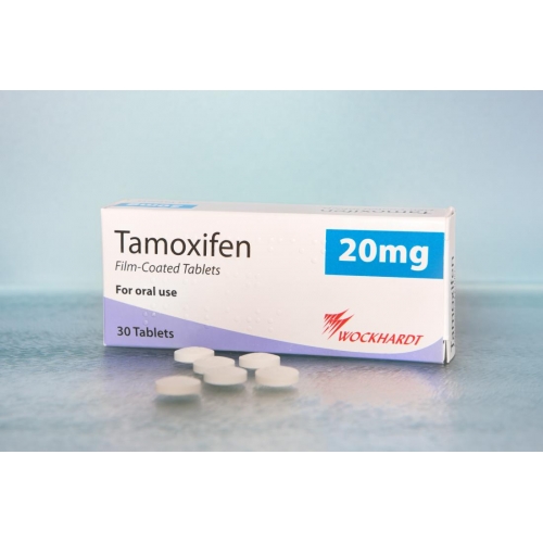 他莫昔芬	Tamoxifen 它莫芬